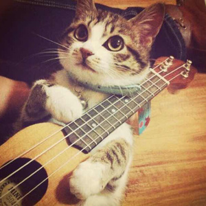 轻点插~啊啊啊~要被射穿了
