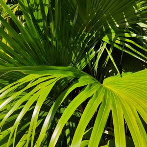 轻点插~啊啊啊~要被射穿了
